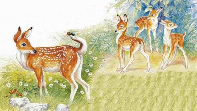 Хвосты смотреть онлайн