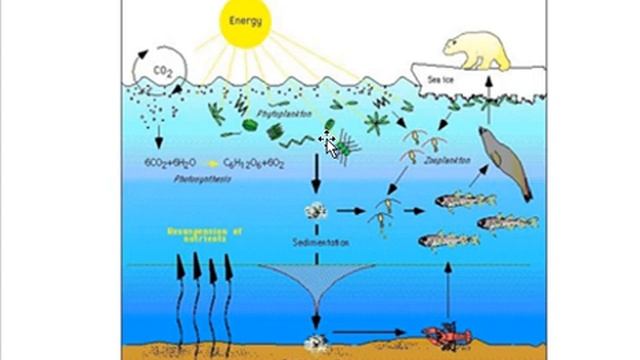 Climate change impacts смотреть онлайн
