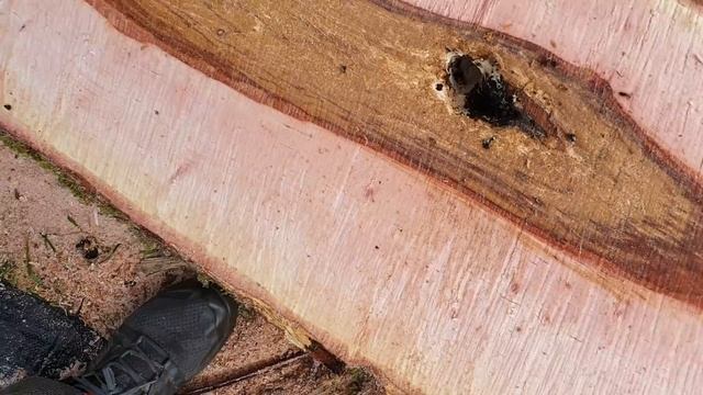 How to Sharpen a Chainsaw with Elegant Efficiency [smoother & straighter cuts] смотреть онлайн