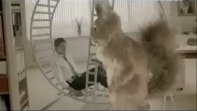 Реклама Snickers українською з білками у колесі (не гальмуй — снікерсуй) смотреть онлайн