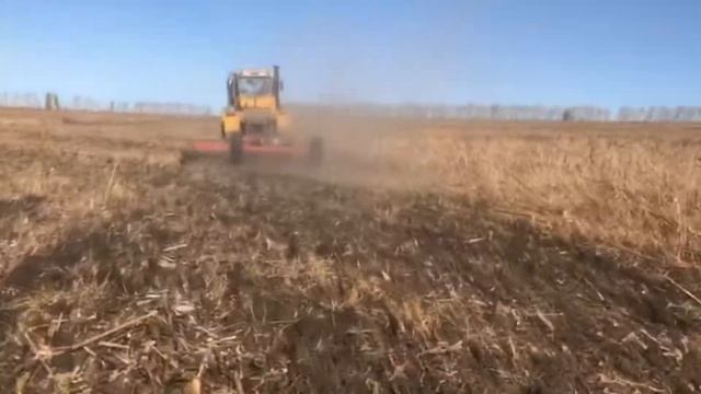 Работа бороны дискочизельной БДЧ 5х4 С РОСОМАХА производства БДТ-АГРО в Румынии смотреть онлайн