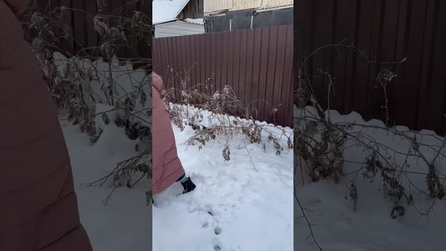 Как сделать так, чтобы от снежков не мерзли руки? смотреть онлайн