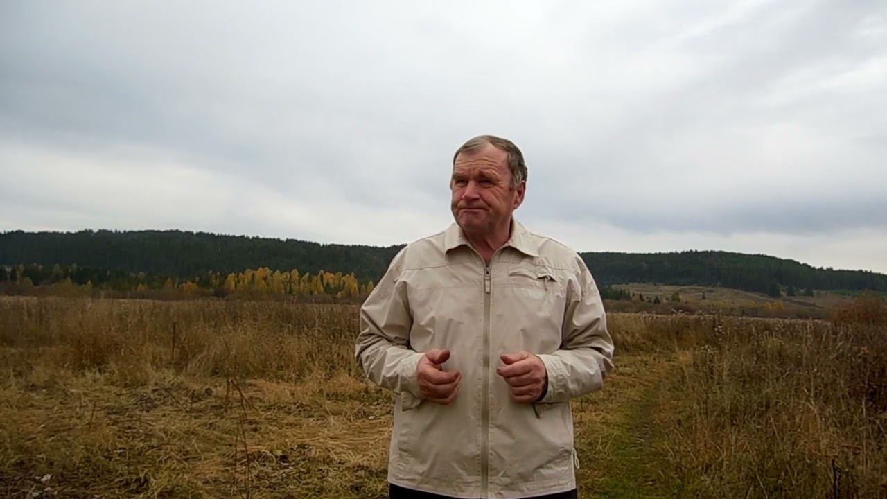 День Учителя! смотреть онлайн