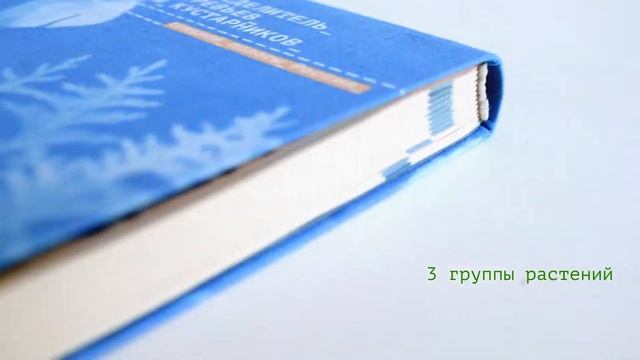 Наталья Валгаева. Определитель деревьев и кустарников. 2020 смотреть онлайн