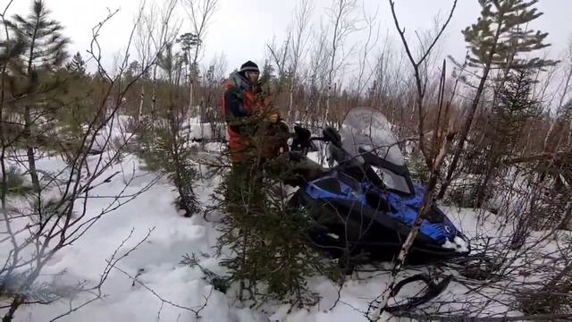 BRP Lynx Yeti69 600асе вытаскиваем лебедкой Freeride800 Adventure GT1200 - часть 2 смотреть онлайн