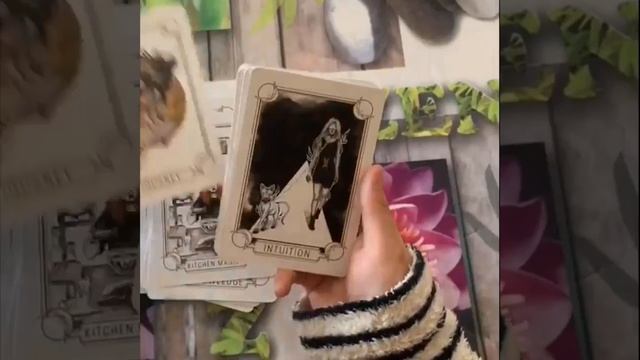 The Magick and Mediums Oracle смотреть онлайн