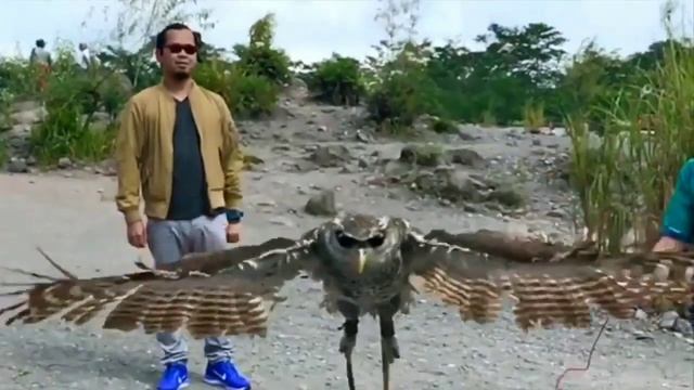 5 Days Explore Yogyakarta and Central Java. Indonesia смотреть онлайн