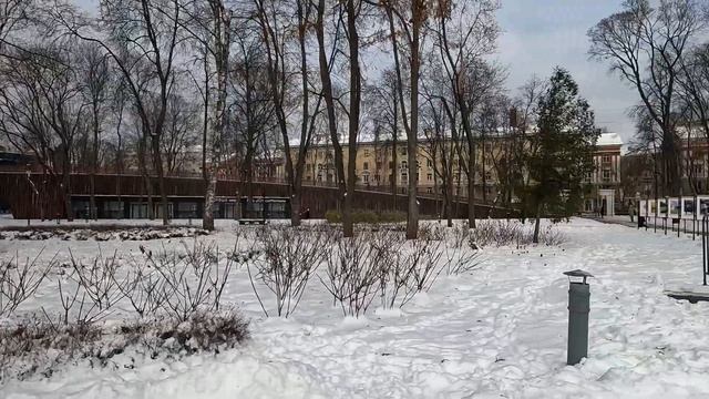 Воронеж, прогулка после снегопада, 23 11 23 г смотреть онлайн