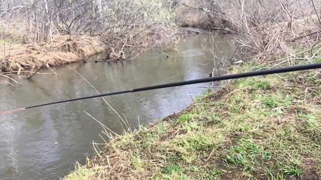 Рыбалка за огородом в Сибири. Идем рыбачить! смотреть онлайн