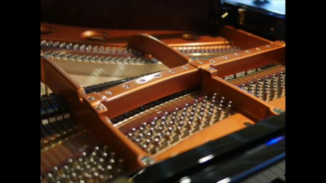 Bosendorfer Model 155 Slide Show смотреть онлайн