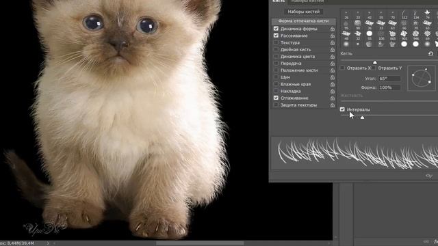 Урок 6 Выделение Котенок с шерстью - Lesson 6 Allocation Kitten with wool смотреть онлайн