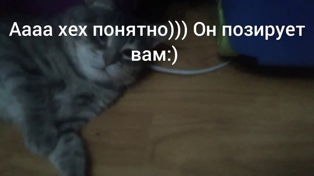 Мои домашние жильцы часть 3