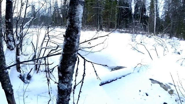 ВЕЗДЕХОД "SHARK" и "ЗВЕРЬ" // ЛЮБОЙ ЦЕНОЙ ДОБРАТЬСЯ ДО МЕСТА // Часть-2. ПРОБИВАЕМ НОВУЮ ДОРОГУ. смотреть онлайн