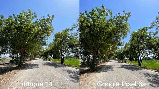 iPhone 14 vs Google Pixel 6a Camera Test смотреть онлайн