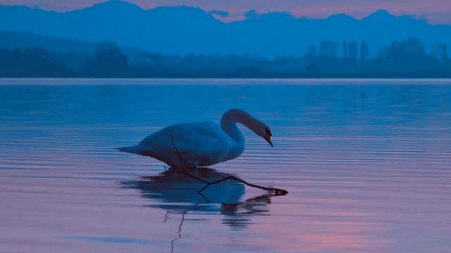 Beautiful relaxing music......for peaceful pion guitar music...sunny morning by sks смотреть онлайн