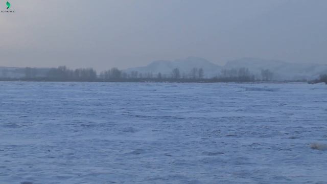 Приехали не зря. Вечерняя рыбалка смотреть онлайн
