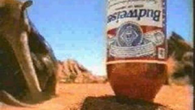 Муравьиное пиво смотреть онлайн