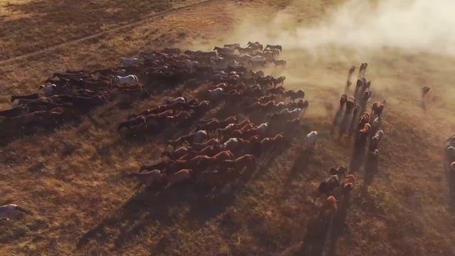 Шалабай. Восточно-Казахстанская область. смотреть онлайн