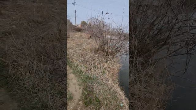 Южная Корея хорошее место для папловочной удочки и донки. смотреть онлайн