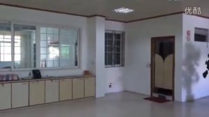 WLtoys V931 2.4G 6CH Brushless Scale Lama Flybarless RC Helicopter Airplane RED