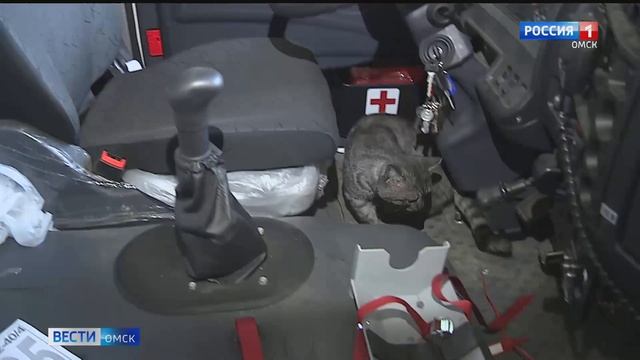 Дымок в 28-ой пожарной части теперь каждый день смотреть онлайн