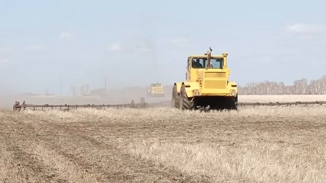 Благовещенские аграрии вышли в поля смотреть онлайн
