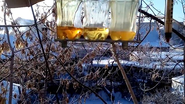 Gulf Syngear 75W 90 MOTUL Gear 300 75W 90 BP Energear 75W 90 при минус 32 C смотреть онлайн