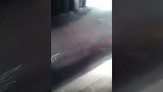 Опалубка свай колон из рубироида своими руками продолжение смотреть онлайн