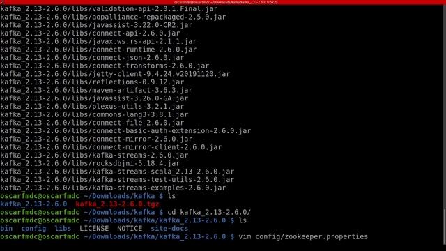 Instalación de Apache Zookeeper para Apache Kafka смотреть онлайн