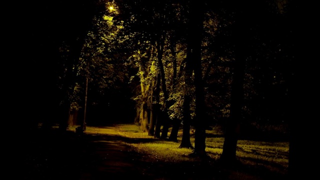 Rutube_account_368835