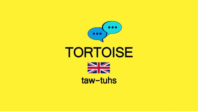How to Pronounce TORTOISE in American English and British English смотреть онлайн
