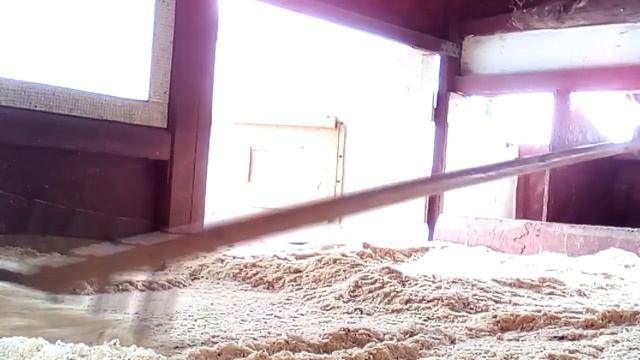 Покупка кур Чешский доминант смотреть онлайн