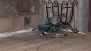 #19 Новый фундамент старого пристроя