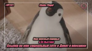 Kinder Pingui — «Наш вкусный перерыв» в 8х быстрее | PRO Рекламу | vk.com/sd__music