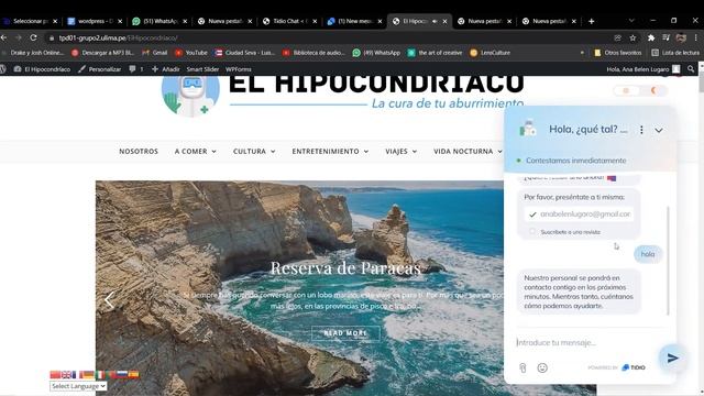 Tutorial Plugin Tidio Chat en Wordpress por Ana Belén Lúgaro смотреть онлайн