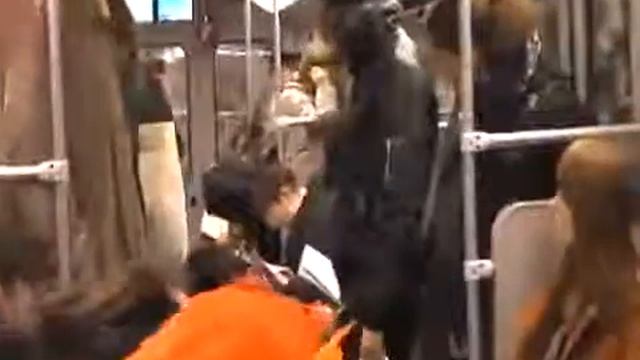 Обычное утро в метро Амстердама смотреть онлайн