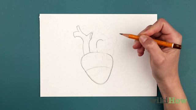 How to Draw a Human Heart смотреть онлайн