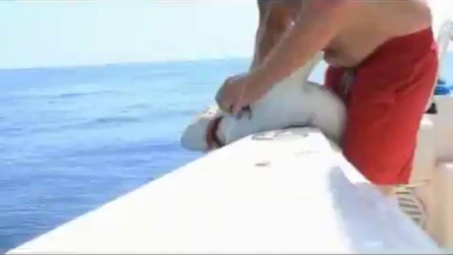 Могла и другое откусить))) смотреть онлайн