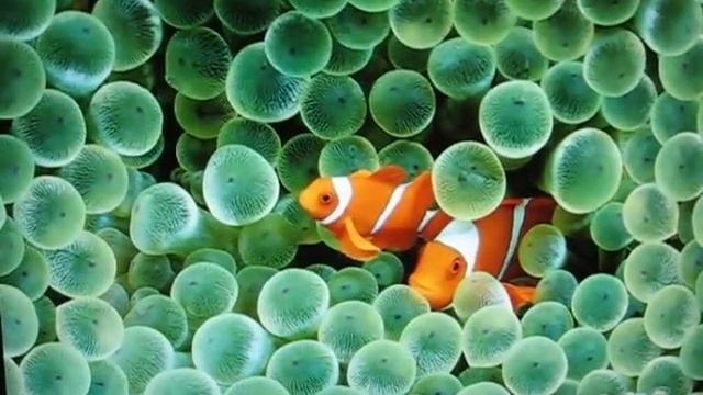 ASRock ION 330 mac os x смотреть онлайн