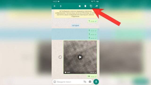 Как переслать сообщения из ватсапа в вайбер смотреть онлайн