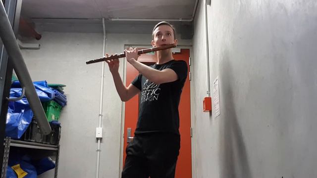 The Green Mountain reel- Connor Hoy irish flute смотреть онлайн