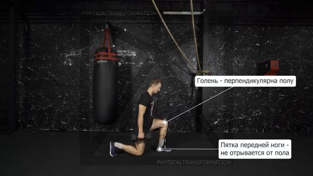 Обратные выпады с гантелями(Dumbbell Reverse Lunge) смотреть онлайн