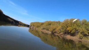 Рыбалка на балду