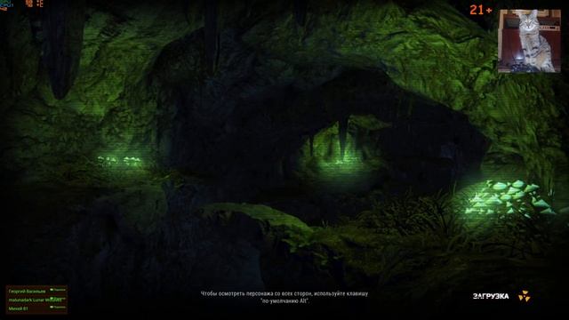 Stalker Online ? Что будет если не забрать Хелицеры? ? На Пау4Ка Часть - 2 ?(QHD 48fps) смотреть онлайн
