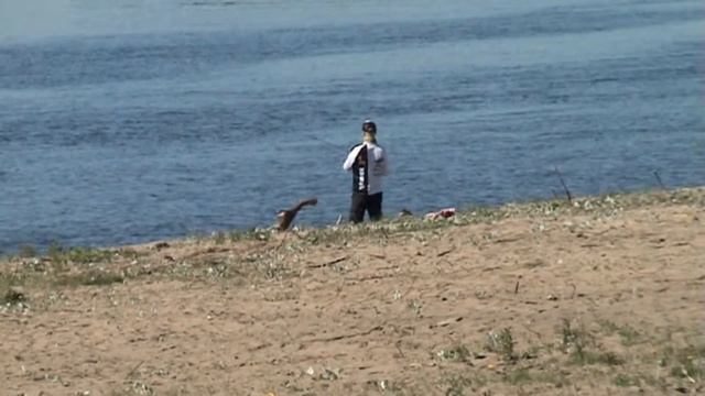 Удачная Рыбалка! смотреть онлайн