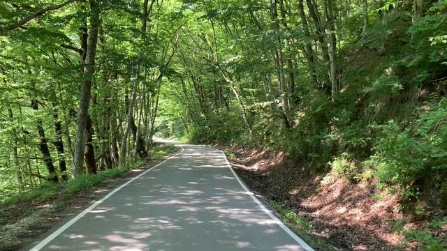 Влог 18. Вяжу сарафан для мишки. Гуляем в лесу? Штатив для съемки МК смотреть онлайн