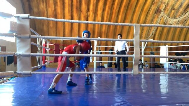 Соревнования по боксу#дети#boxing#???aktau#бокс#