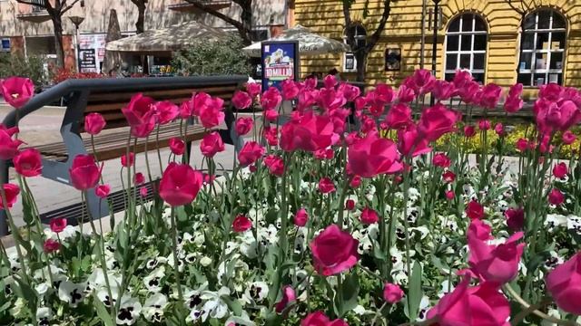 ВЕНГРИЯ | деревня Karád | город Szolnok #жизньввенгрии #балатон смотреть онлайн