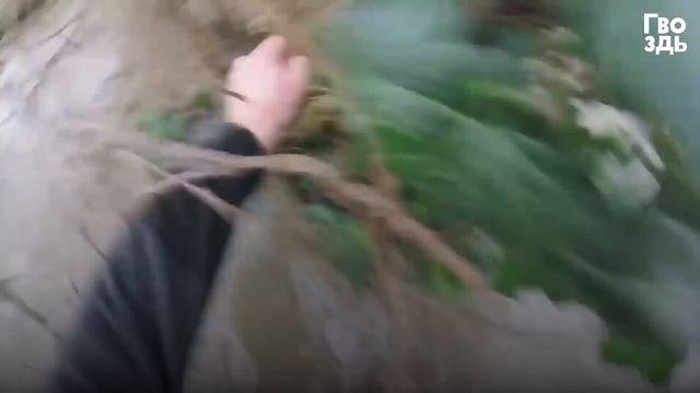 Мужчина Вытащил Пушистого Зверька из Воды. Ему Нужно Очень Торопиться! смотреть онлайн