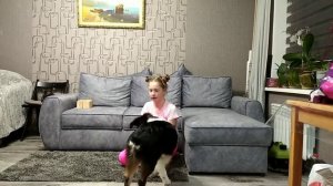 ДРЕССИРОВКА щенка АУССИ 6 месяцев! Что умеет Брайтон!?